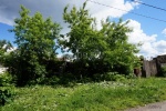 dsc08168_.jpg
