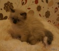 Файл=dsc05159.jpg
Объём=149KB
Размеры=894x768
Дата=12 ноября 2013 dsc05159.jpg